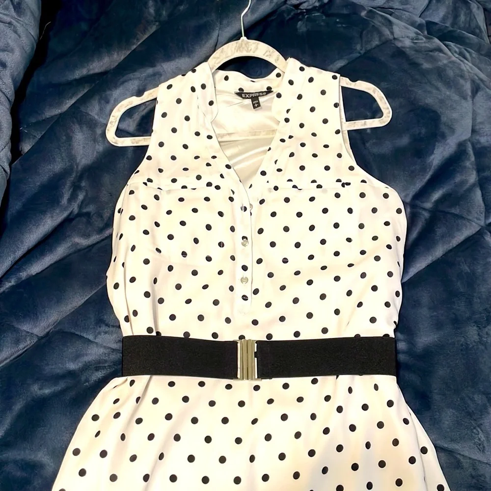 Express Dress - Picture 5 of 5